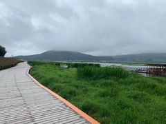 -腾冲北海湿地