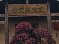 -传统菜农庄(皇姑路店)