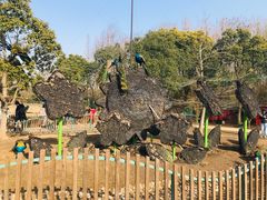 -东平国家森林公园