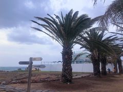 -Cafe Aewol Monsant