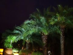 -昆明洲际酒店
