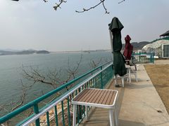 -望湖烤鱼