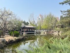 -宣武艺园