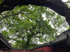 -成都武侯祠博物馆