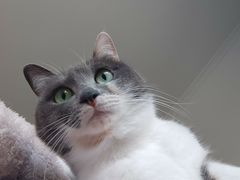 -成都市第一人民医院(南区)