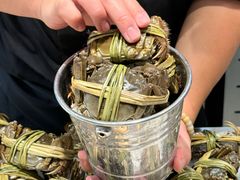 -半岛听涛蒸汽海鲜自助(K11店)