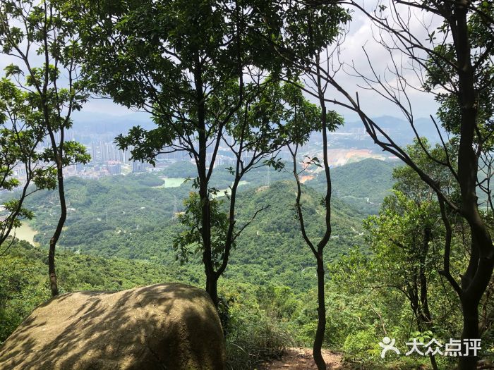 羊台山森林公園圖片