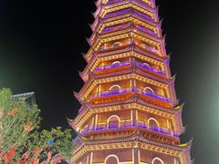 -太湖龙之梦