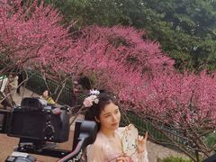 -重庆彩云湖湿地公园