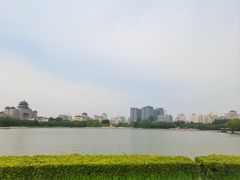 -莲花池公园