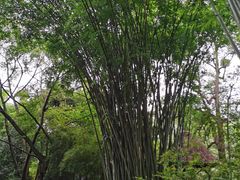 -成都杜甫草堂博物馆