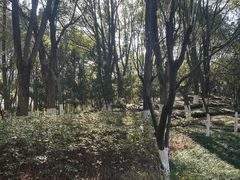 -桐乡植物园