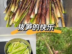 -常州明城墙