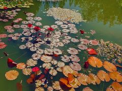 -国家植物园南园