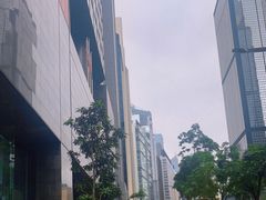 -华嫂冰室(湾仔店)
