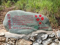 -郧西五龙河风景区