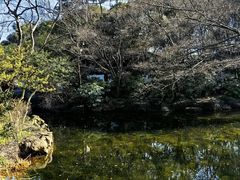 -秋霞圃