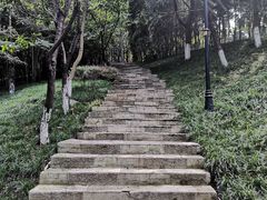-龙头寺公园