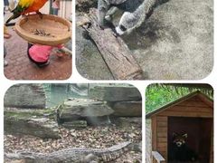 -常州淹城野生动物世界