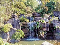 -广州神农草堂中医药博物馆