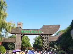 -溱湖国家湿地公园