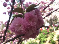 -江南大学(蠡湖校区)