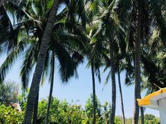 -三亚南山文化旅游区