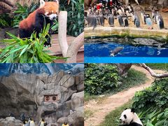 -香港海洋公园
