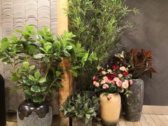 -唐沫茶兮(仓山万达金街店)