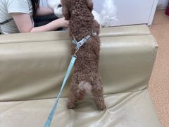 -宠颐生中康贝怡动物医院