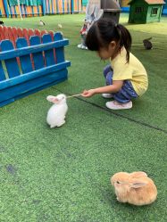 -萌宠亲子动物乐园(槐房万达店)