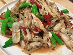 -启博美食城(孟家店)
