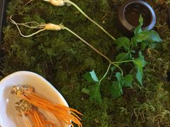 -Yeyije 韩定食