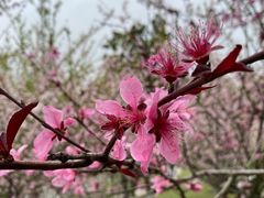 -堤角公园