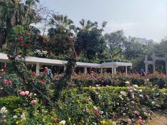 -人民公园(罗湖区)