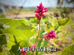 -棋盘山风景区