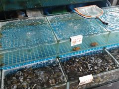 水产区-叶姐海鲜(棋子湾店)