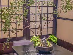 -松鹤精致料理(五一中路店)