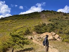 -大觉寺-停车场