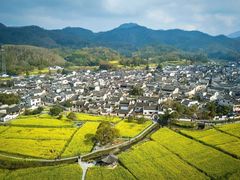 -塔川景区