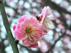 -渭河城市绿地运动公园