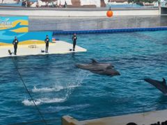 -秦皇岛乐岛海洋王国