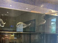 -万鱼亭 日本料理(无锡香山名园店)