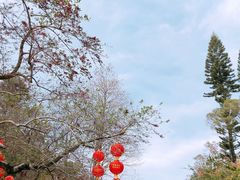 -深圳仙湖植物园