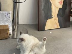 -Northand Coffee(来福士店)