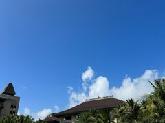 -海南清水湾莱佛士酒店