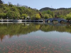-大连植物园
