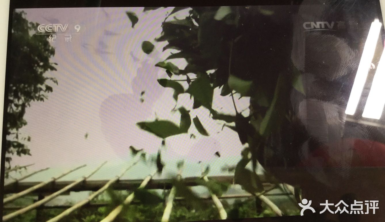 特色推荐: 纪录片《茶,一片茶叶的故事》,早上刚刚看