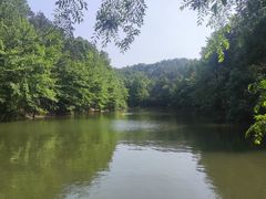 -青龙山国家森林公园