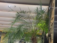 -陈熹公民族美食文化餐厅(中华广场店)